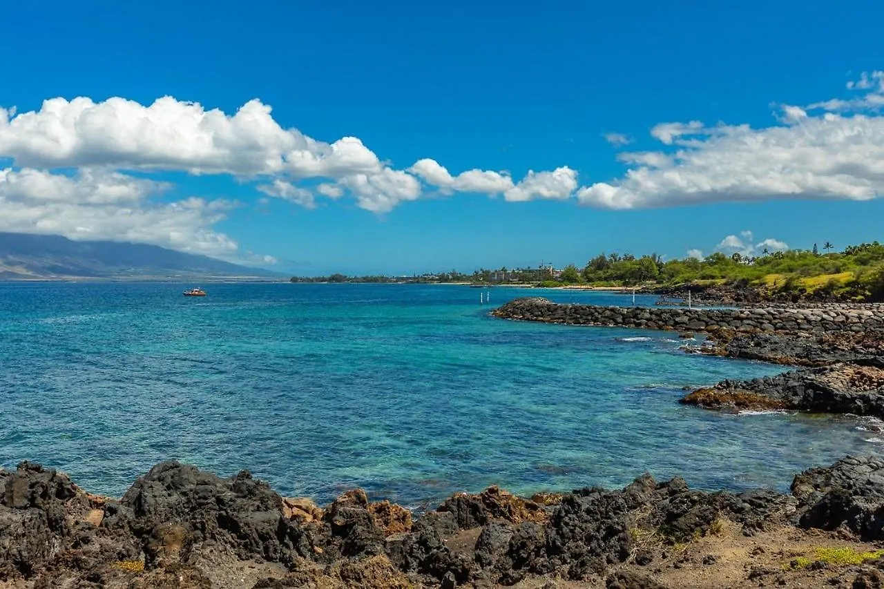 Maui Kamaole J209 Condo Wailea  USA
